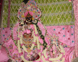 Radha Krishna Gulab Dol